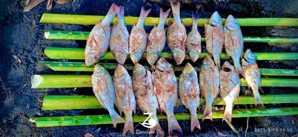 Poisson grillé à l'île aux Prunes