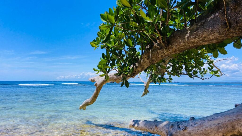 Excursion île aux Prunes