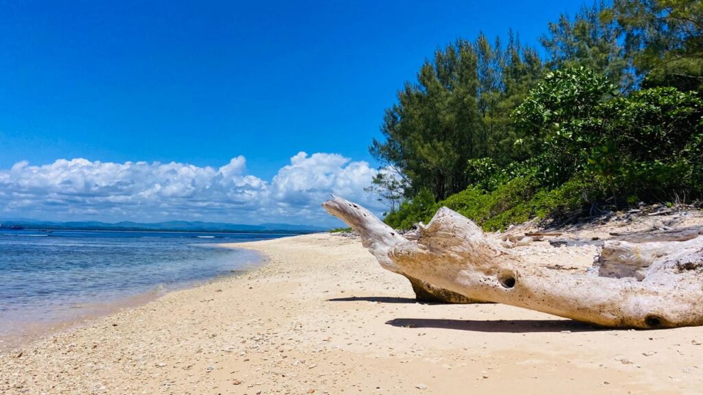 Excursion île aux Prunes